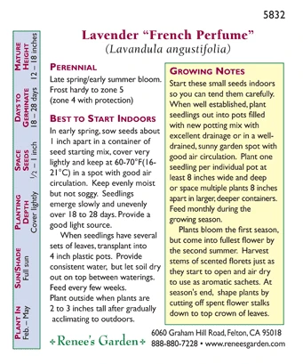Renee's Garden Lavender French Perfume 2 Renee's Garden Lavender French Perfume - Image 2