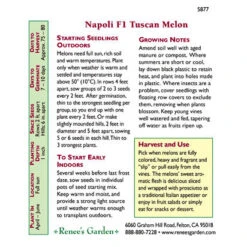 Renee's Garden Melon Tuscan Napoli -Seedling Wonders 5877 pb