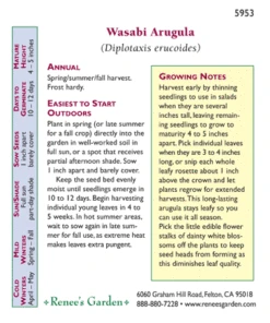 Renee's Garden Arugula Wasabi -Seedling Wonders 5953 back