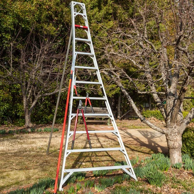 Aluminum Orchard Ladder (12') 1 Aluminum Orchard Ladder (12')
