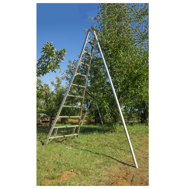 Aluminum Orchard Ladder (8') 1 Aluminum Orchard Ladder (8')