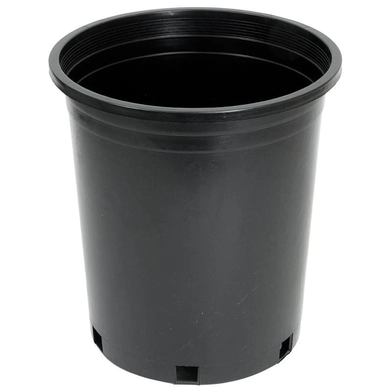 Black Plastic Pot (5 Gallon Size) 1 Black Plastic Pot (5 Gallon Size)