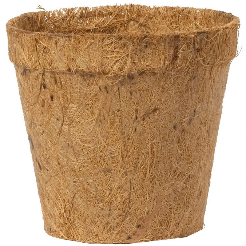 Coconut Fiber Round Pots - 4" (Pack Of 6) 1 Coconut Fiber Round Pots - 4" (Pack Of 6)