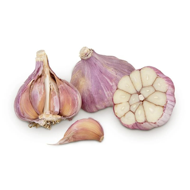 Conventionally Grown Garlic, Russian Red (lb) 1 Conventionally Grown Garlic, Russian Red (lb)