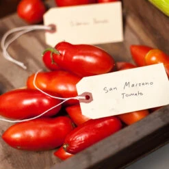 San Marzano Tomato Seeds (Organic) -Seedling Wonders expo 0300 3 2