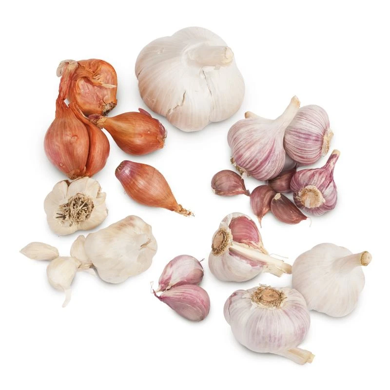 Garlic Combo Pack 1 Garlic Combo Pack