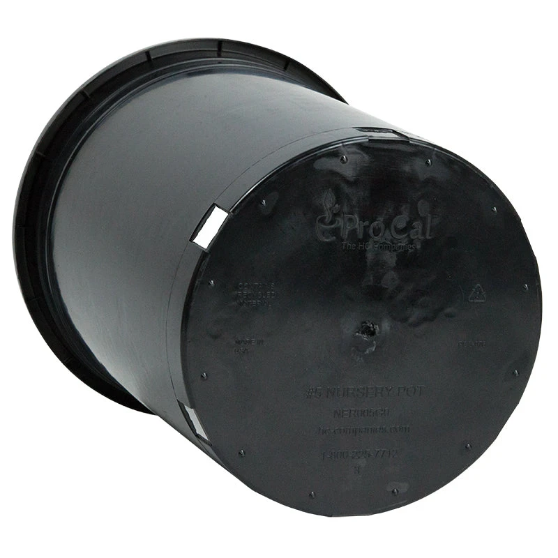 Black Plastic Pot (5 Gallon Size) 2 Black Plastic Pot (5 Gallon Size) - Image 2