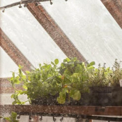 Fogger Mister 5 Fogger Mister -Seedling Wonders ire200 iu 2 1