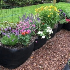 Smart Pot Big Bag Long Bed 6' Black 6 Smart Pot Big Bag Long Bed 6' Black -Seedling Wonders marty house web