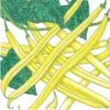 Organic Bean, Bush Gold Rush Yellow Wax (1/2 Lb)