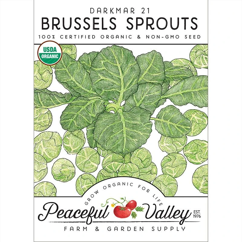 Darkmar 21 Brussels Sprouts Seeds (Organic) 1 Darkmar 21 Brussels Sprouts Seeds (Organic)