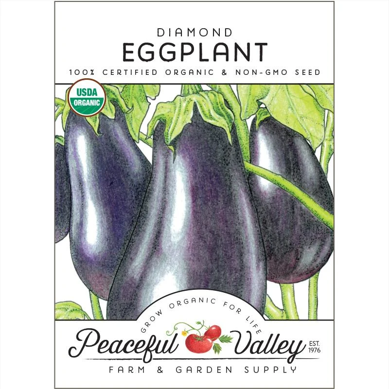 Diamond Eggplant Seeds (Organic) 1 Diamond Eggplant Seeds (Organic)