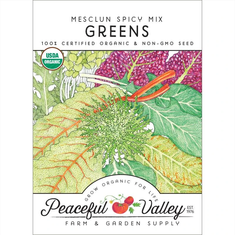 Mesclun Spicy Mix Greens Seeds (Organic) 1 Mesclun Spicy Mix Greens Seeds (Organic)
