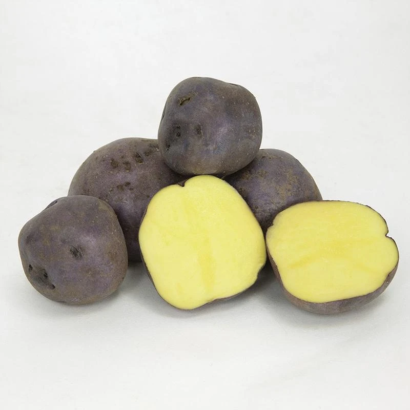 Fall-Planted Organic Huckleberry Gold Seed Potatoes (lb) 1 Fall-Planted Organic Huckleberry Gold Seed Potatoes (lb)