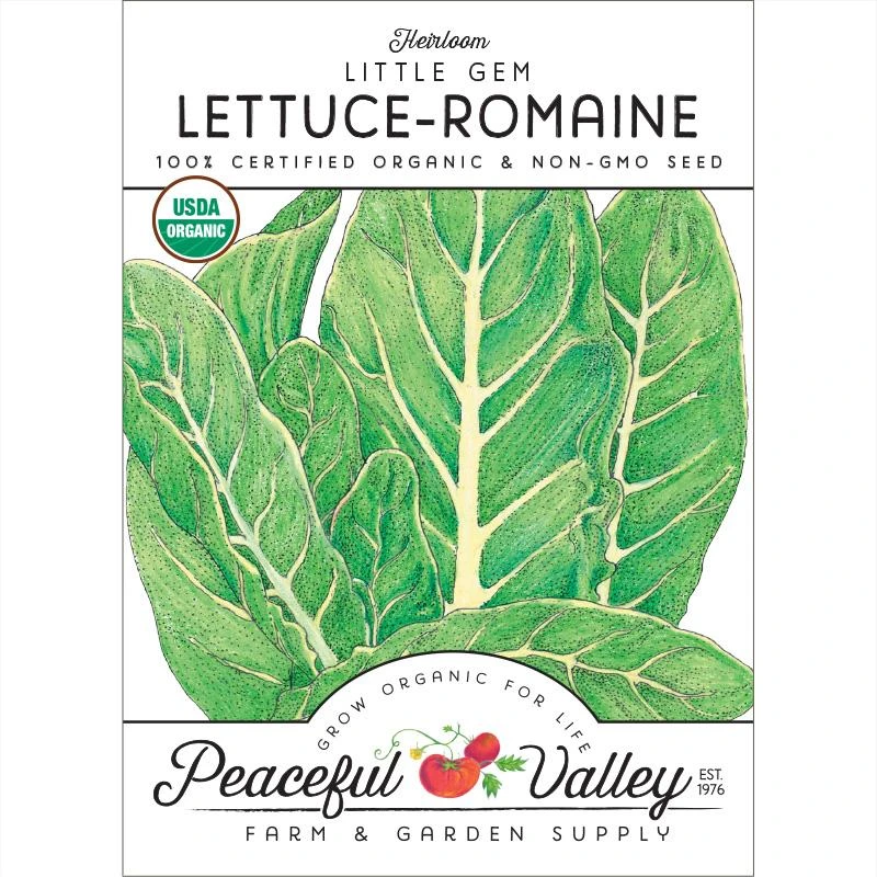 Little Gem Lettuce Seeds (Organic) 1 Little Gem Lettuce Seeds (Organic)