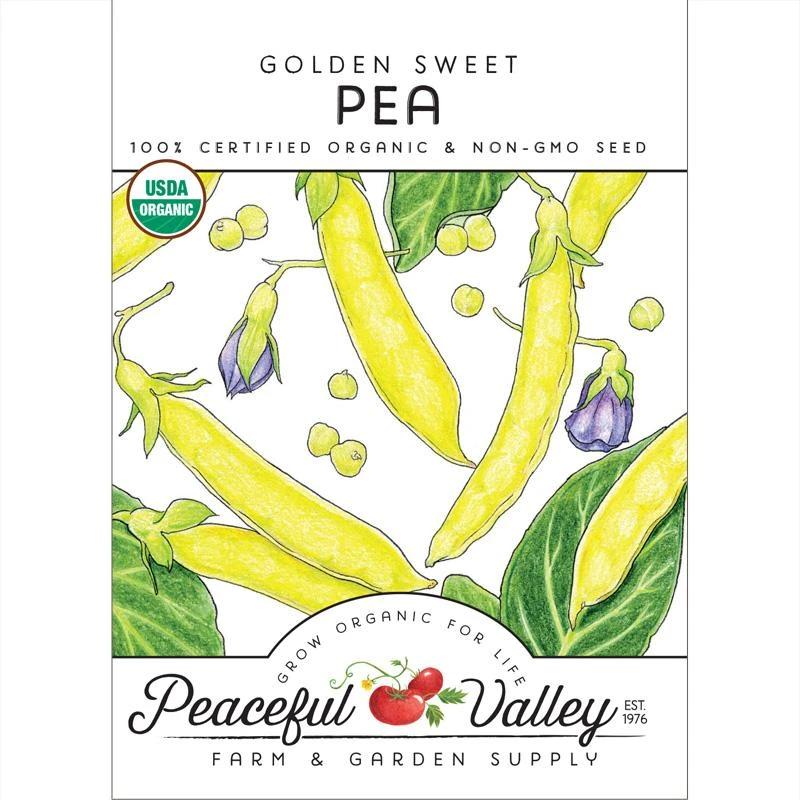 Golden Sweet Pea Seeds (Organic) 1 Golden Sweet Pea Seeds (Organic)