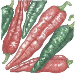 Organic Pepper, Hot New Mexico Joe Parker (1 Oz)