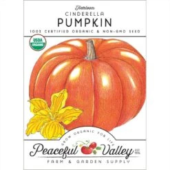 Cinderella Pumpkin Seeds (Organic)