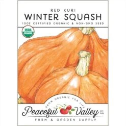 Red Kuri Winter Squash Seeds (Organic)