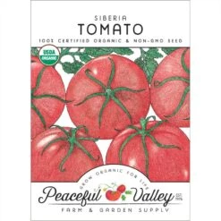 Siberia Tomato Seeds (Organic)