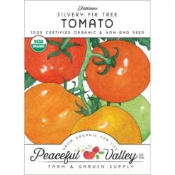 Silvery Fir Tree Tomato Seeds (Organic)