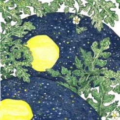 Organic Watermelon, Moon And Stars (1 Oz)