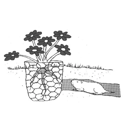 Gopher Wire (4' X 100' Roll) 2 Gopher Wire (4' X 100' Roll) - Image 2