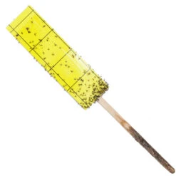 Gnat Stix For Houseplants -Seedling Wonders pit769 1