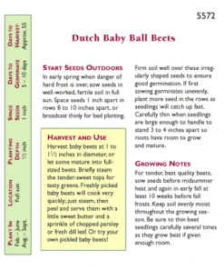 Renee's Garden Beet Dutch Baby Ball 5 Renee's Garden Beet Dutch Baby Ball -Seedling Wonders snv4032 pb