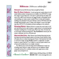 Renee's Garden Hibiscus Zinger Herbal Tea 5 Renee's Garden Hibiscus Zinger Herbal Tea -Seedling Wonders snv4182 c