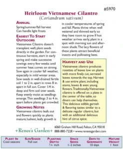 Seedling Wonders -Seedling Wonders snv4225 c