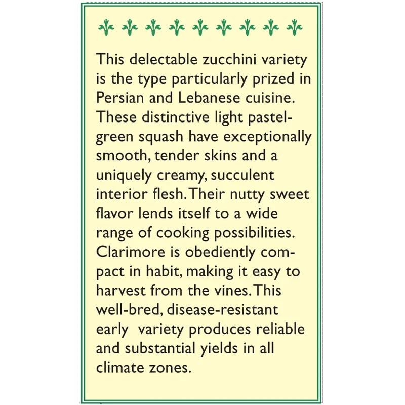 Renee's Garden Squash Summer Zucchini Mid-East Clarimore 2 Renee's Garden Squash Summer Zucchini Mid-East Clarimore - Image 2