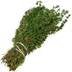 Organic Thyme, English -Seedling Wonders thyme bundle web