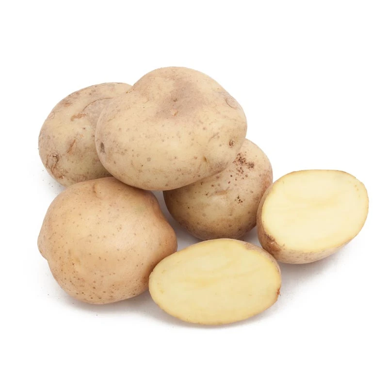 Yellow Finn Potato (Organic) 1 Yellow Finn Potato (Organic)