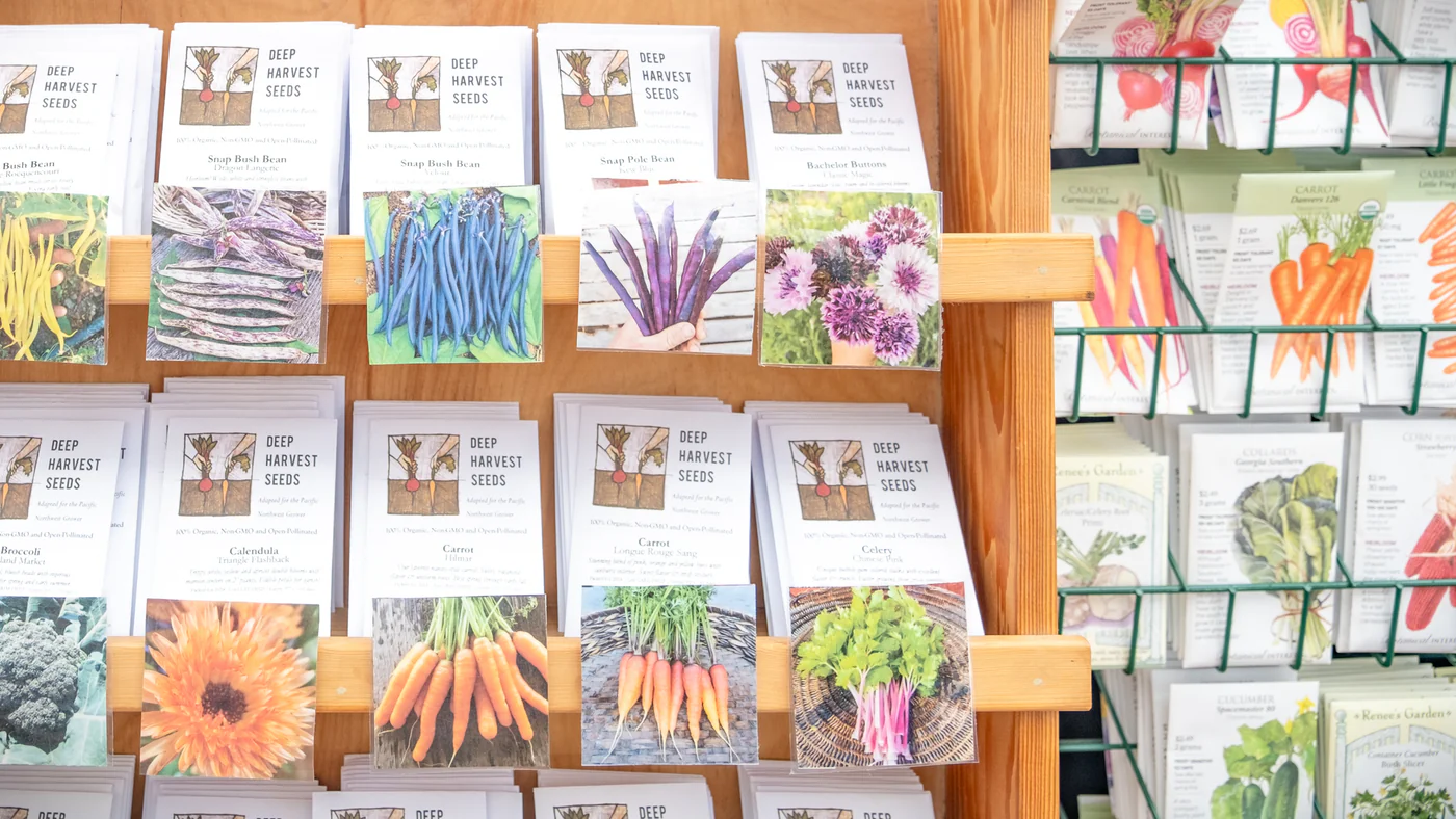 Seedling Wonders -Seedling Wonders Seeds